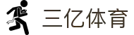 三亿(集团)体育科技有限公司官网